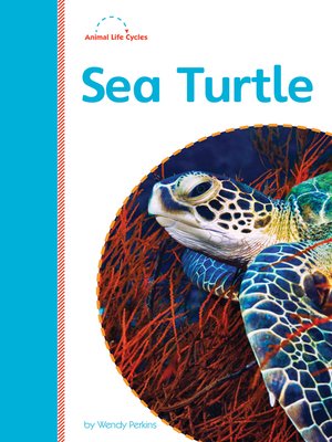 cover image of Sea Turtle